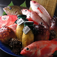 毎日新鮮な魚が!
