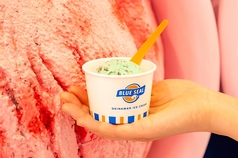 レギュラーシングル