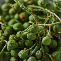 【厳選素材を使った新感覚の商品の数々】