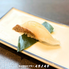 まだい松皮（一貫）