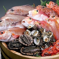 旬な海の幸や上質なお肉を五感で楽しめる鉄板焼き