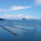 【愛媛の風を感じる落ち着いた空間で、地元ならではの味覚を堪能できるお店】、宇和海で獲れた新鮮な真鯛を使った鯛めしは、素材の旨みを最大限に引き出した贅沢な一品。