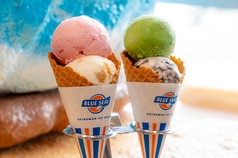 レギュラーダブル