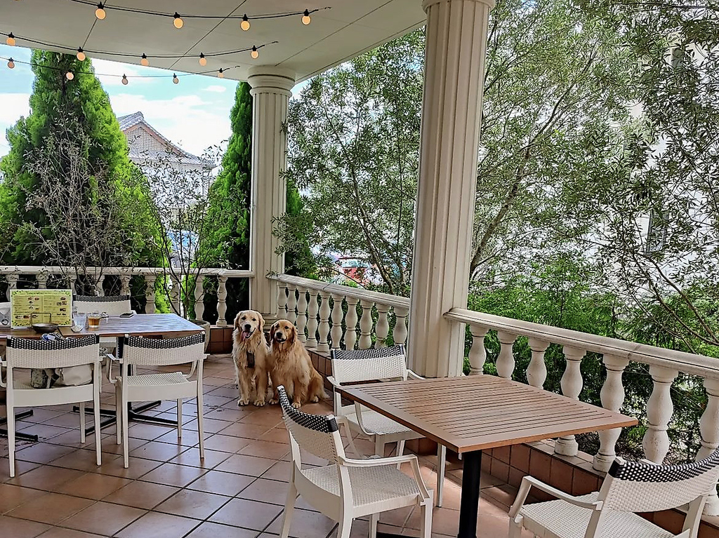 SUNNY KITCHEN Tj[Lb`