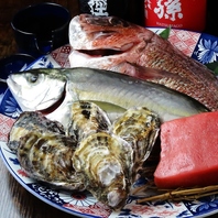旬の鮮魚を使用したお造りや海鮮料理の数々。