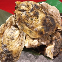 【旬魚】各種