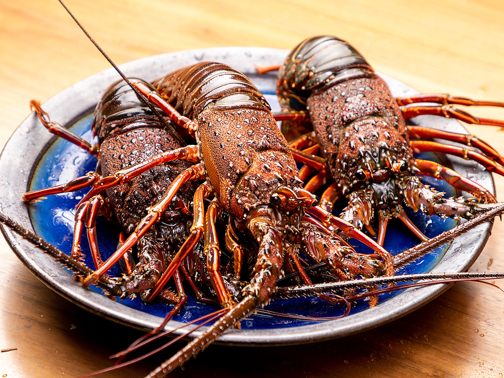 その場でいけすから取り出してさばく、ライブ感