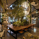 友安製作所Cafe&Dining博多の雰囲気2
