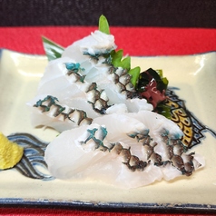イラブチャーの刺身
