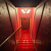 銀座駅から徒歩5分。まるで隠れ家のような、大人の落ち着いた雰囲気漂う店内で、ゆったりと寛ぎのひとときをお過ごしいただけます。