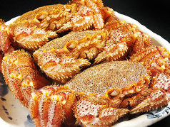 海乃四季のコース写真