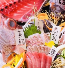 ほりかわのコース写真
