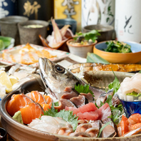 鮮度抜群な一品料理も豊富にご用意♪