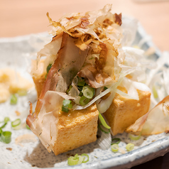 どっちゃりネギの厚揚げ