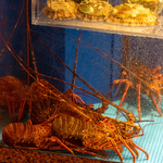 高級食材を最高のコンディションで提供しています