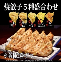 ◆焼餃子食べ比べ5種盛り◆合計10個