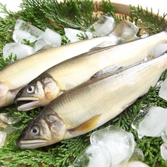 囲炉裏 えん encounterのコース写真