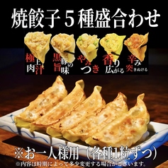 お一人様用◆焼餃子食べ比べ5種盛り◆合計5個