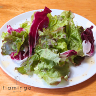 色鮮やかな旬野菜の爽やかサラダ