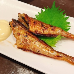 氷下魚 コマイ