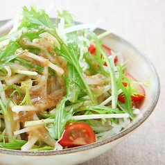 大根と水菜のサラダ