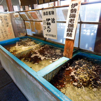 大原漁港の入札権を持つ店が贈る、「本当に旨い魚」