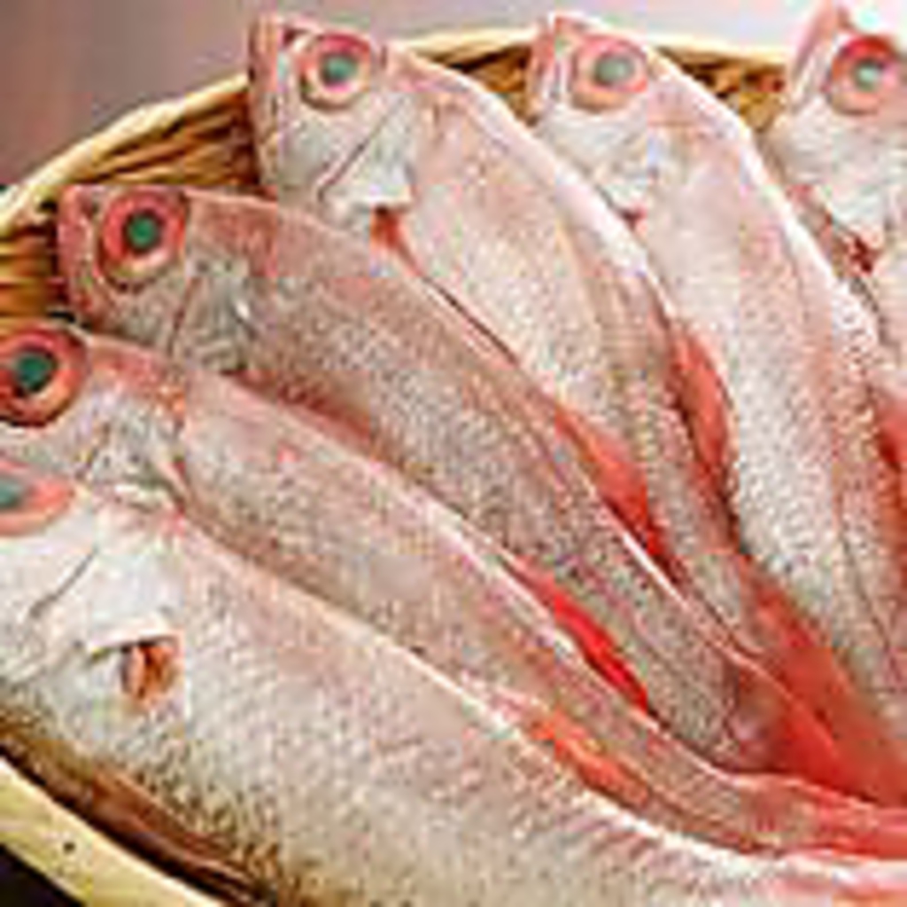 漁港直送の鮮魚を御造りはもちろん、焼き魚や煮魚に！！