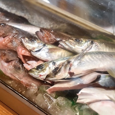 壱岐直送の新鮮魚介を堪能！