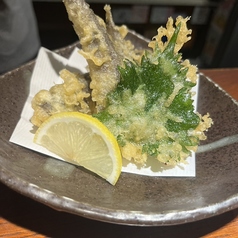 目光天ぷら