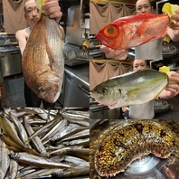 日替わりオススメ鮮魚！2026/01/16 今日のオススメ♪