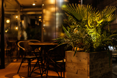 心地よい自然の風を感じるテラス席は、美しい観葉植物に囲まれた癒やしの特別な空間です。喧騒から離れ、まるで異国のカフェにいるような開放的な雰囲気の中で、厳選された美味しい料理やバリスタ特製の特製の香り高いドリンクと共に、心身ともにリラックスする贅沢なひとときを心ゆくまでご堪能ください。