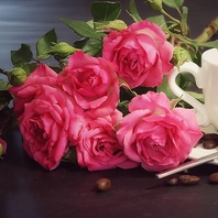 ９月～『太田花屋』併設◎癒しのフラワーカフェ始まる♪