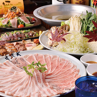 【新宿×豚料理】2時間飲み放題付コース全6品4,500円～