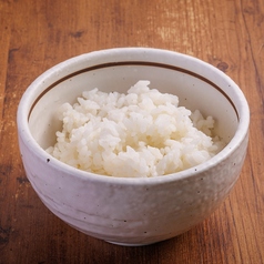 ごはん中