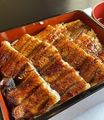 料理メニュー写真&nbsp;うな重