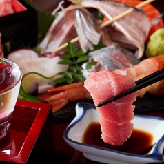 居酒屋 松之家特集写真1