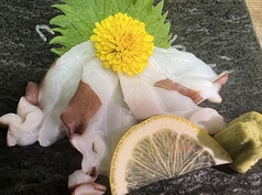 柳タコ【お造り】