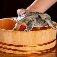 さまざまなすっぽん料理で元気をチャージ！