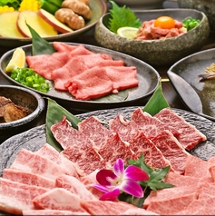 焼肉 ムクゲ 三島のコース写真