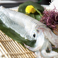 日本近海にて育まれた新鮮な朝〆鮮魚を豊洲市場より直送