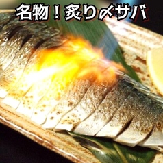 直炙り〆鯖 半尾