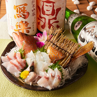 産地直送。四季折々の極上鮮魚