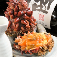 三陸居酒屋 きりや 菜園本店 盛岡菜園 居酒屋 ネット予約可 ホットペッパーグルメ