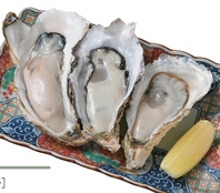 生牡蠣食べ比べ（産地違い）