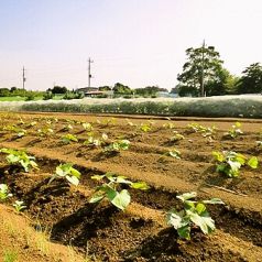 旬菜や くらちの特集写真