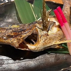 本日の焼魚