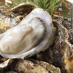 TOLAH UMEDA トーラの特集写真