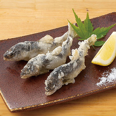 稚鮎の天布羅