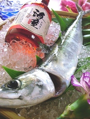 ゆっくり居酒屋 ごじのねのコース写真