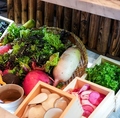 料理メニュー写真&nbsp;秦野　小清水農園の地場野菜